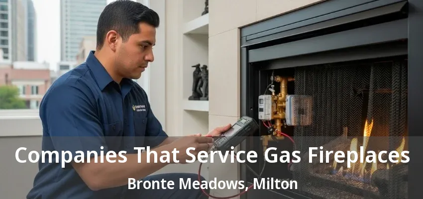Companies That Service Gas Fireplaces Bronte Meadows, Milton - ON Companies That Service Gas Fireplaces Bronte Meadows, Milton - ON
