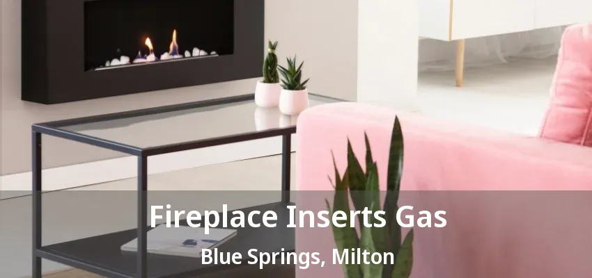 Fireplace Inserts Gas Blue Springs, Milton - ON