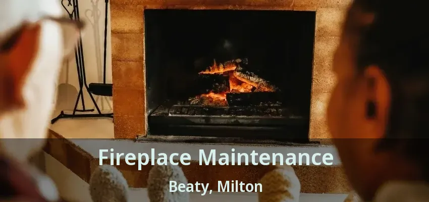 Fireplace Maintenance Beaty, Milton - ON Fireplace Maintenance Beaty, Milton - ON