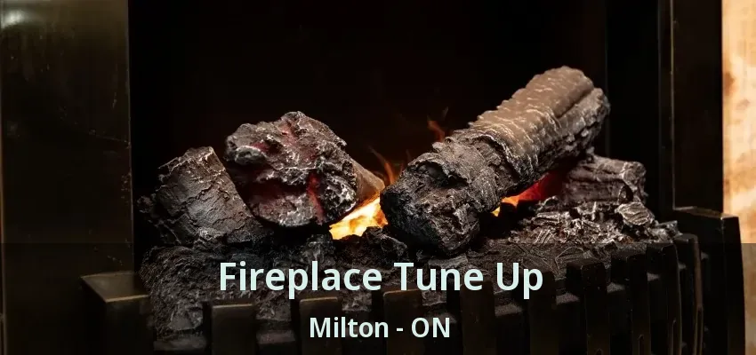 Fireplace Tune Up Milton - ON Fireplace Tune Up Milton - ON