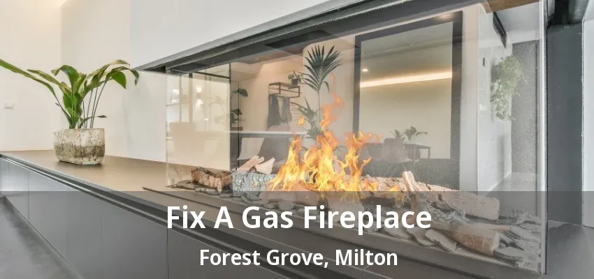 Fix A Gas Fireplace Forest Grove, Milton - ON