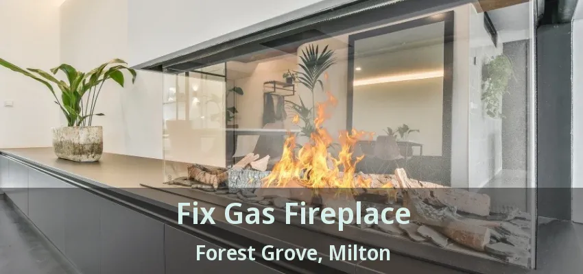Fix Gas Fireplace Forest Grove, Milton - ON Fix Gas Fireplace Forest Grove, Milton - ON