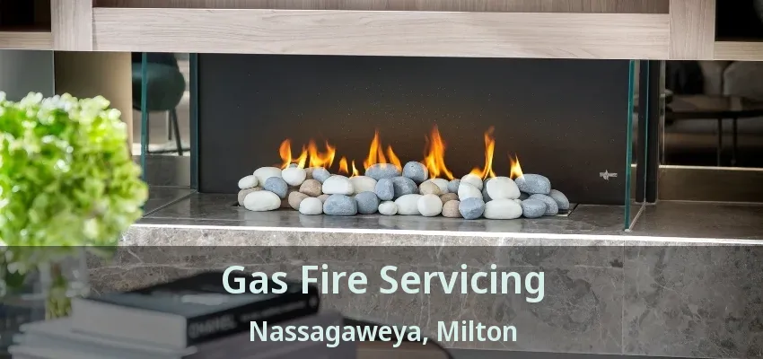 Gas Fire Servicing Nassagaweya, Milton - ON Gas Fire Servicing Nassagaweya, Milton - ON
