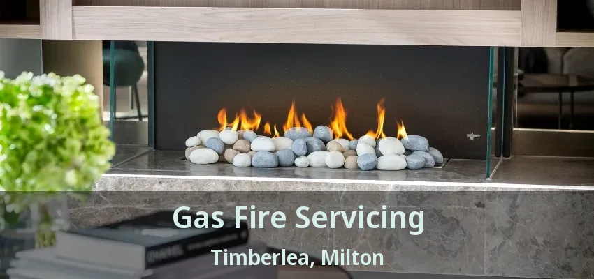 Gas Fire Servicing Timberlea, Milton - ON Gas Fire Servicing Timberlea, Milton - ON