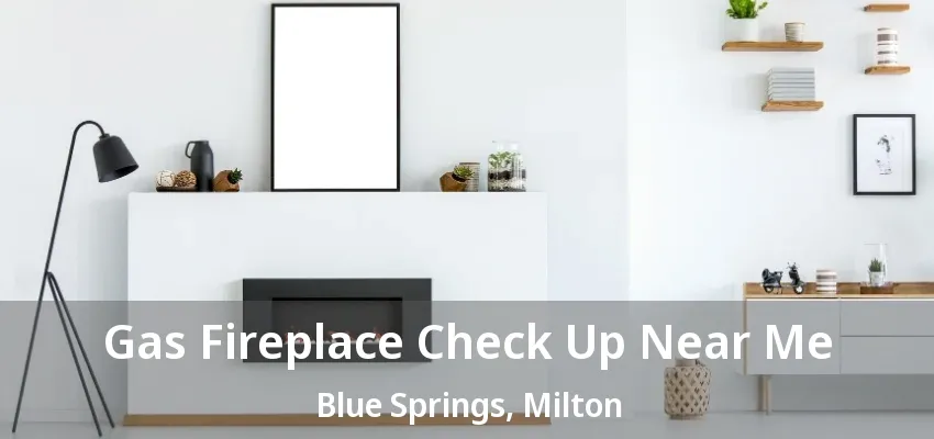 Gas Fireplace Check Up Near Me Blue Springs, Milton - ON