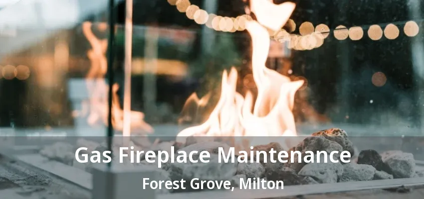 Gas Fireplace Maintenance Forest Grove, Milton - ON Gas Fireplace Maintenance Forest Grove, Milton - ON