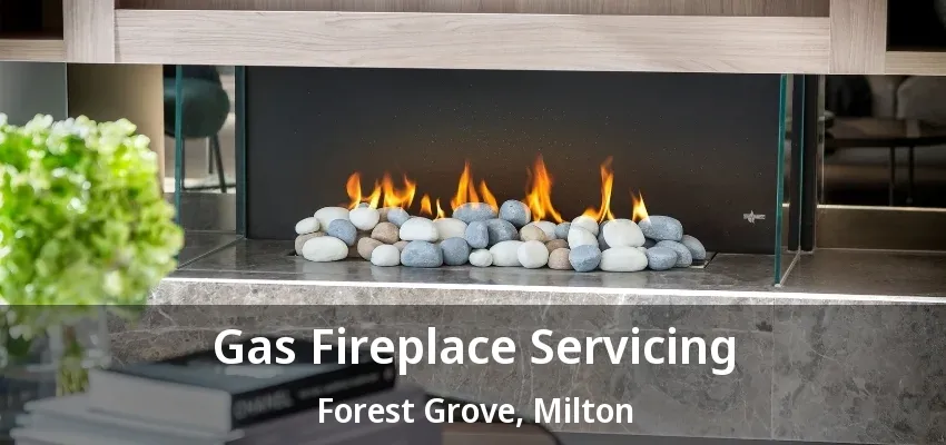 Gas Fireplace Servicing Forest Grove, Milton - ON Gas Fireplace Servicing Forest Grove, Milton - ON