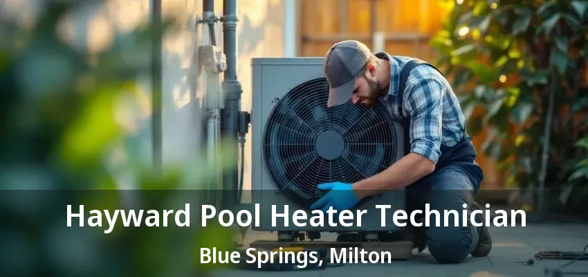 Hayward Pool Heater Technician Blue Springs, Milton - ON