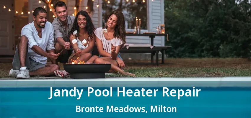 Jandy Pool Heater Repair Bronte Meadows, Milton - ON