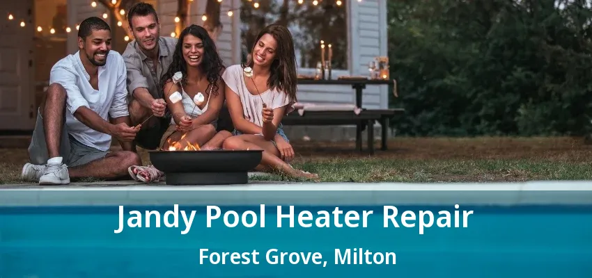 Jandy Pool Heater Repair Forest Grove, Milton - ON Jandy Pool Heater Repair Forest Grove, Milton - ON