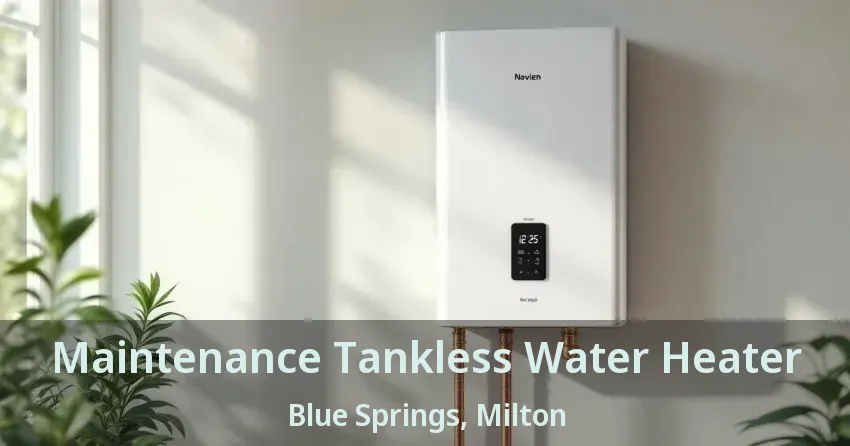 Maintenance Tankless Water Heater Blue Springs, Milton - ON Maintenance Tankless Water Heater Blue Springs, Milton - ON