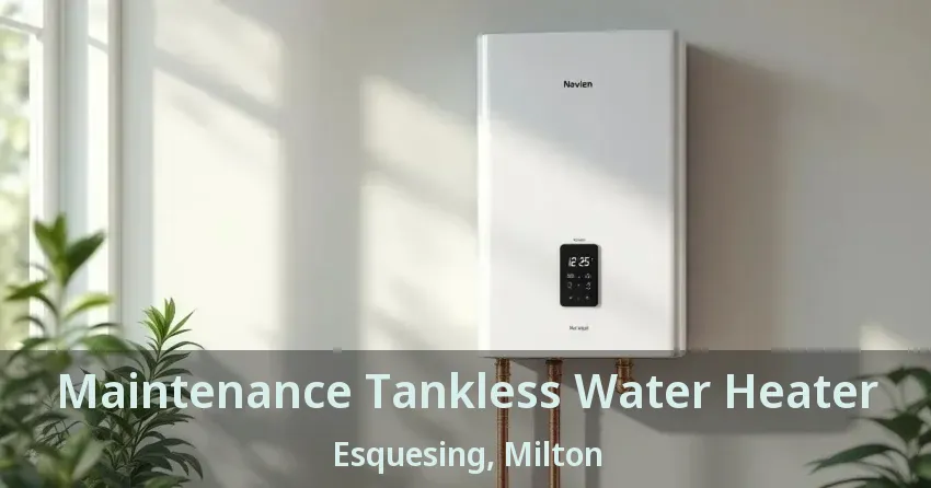Maintenance Tankless Water Heater Esquesing, Milton - ON