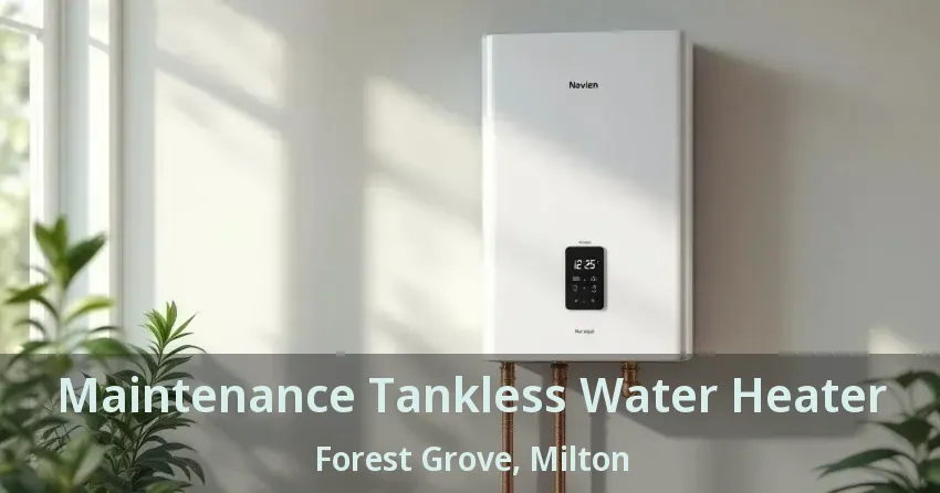 Maintenance Tankless Water Heater Forest Grove, Milton - ON