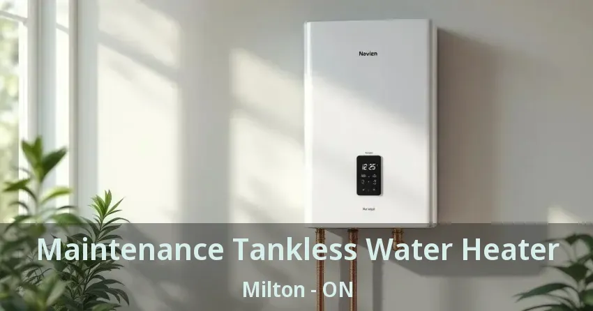 Maintenance Tankless Water Heater Milton - ON