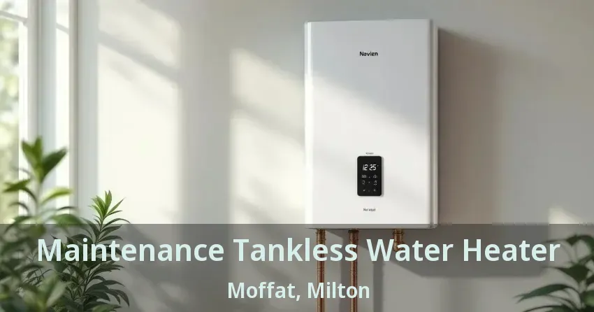 Maintenance Tankless Water Heater Moffat, Milton - ON