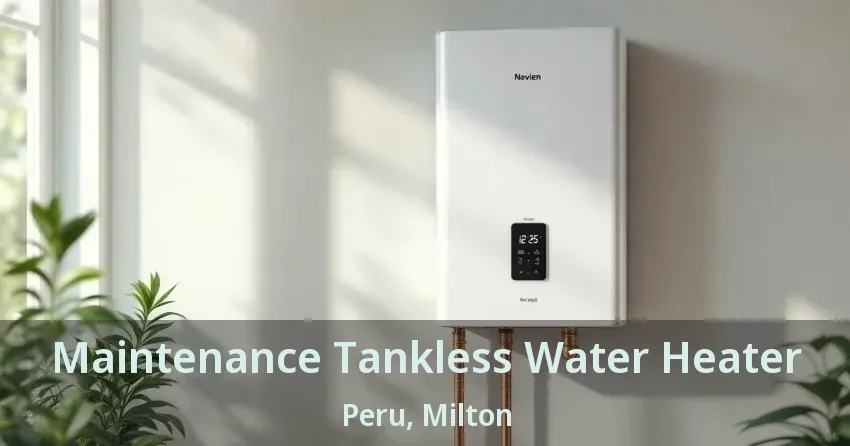 Maintenance Tankless Water Heater Peru, Milton - ON Maintenance Tankless Water Heater Peru, Milton - ON