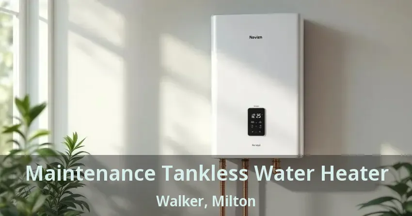 Maintenance Tankless Water Heater Walker, Milton - ON