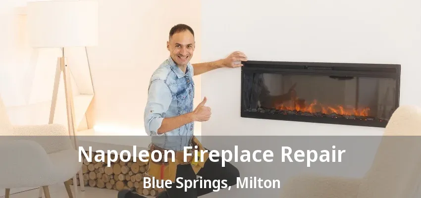 Napoleon Fireplace Repair Blue Springs, Milton - ON