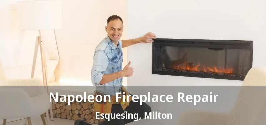 Napoleon Fireplace Repair Esquesing, Milton - ON