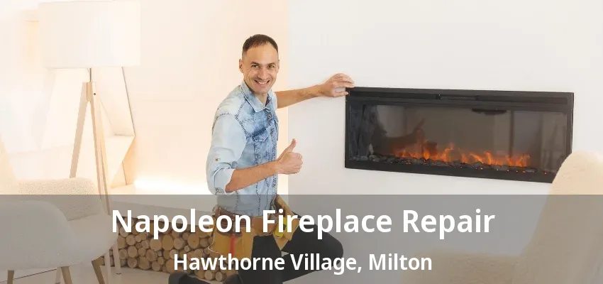 Napoleon Fireplace Repair Hawthorne Village, Milton - ON