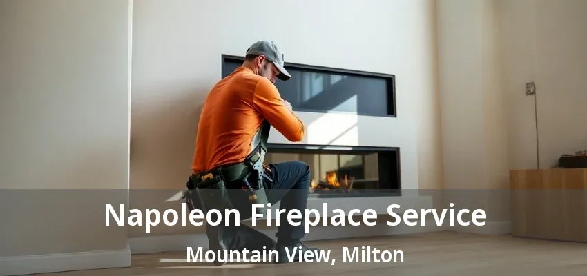 Napoleon Fireplace Service Mountain View, Milton - ON Napoleon Fireplace Service Mountain View, Milton - ON