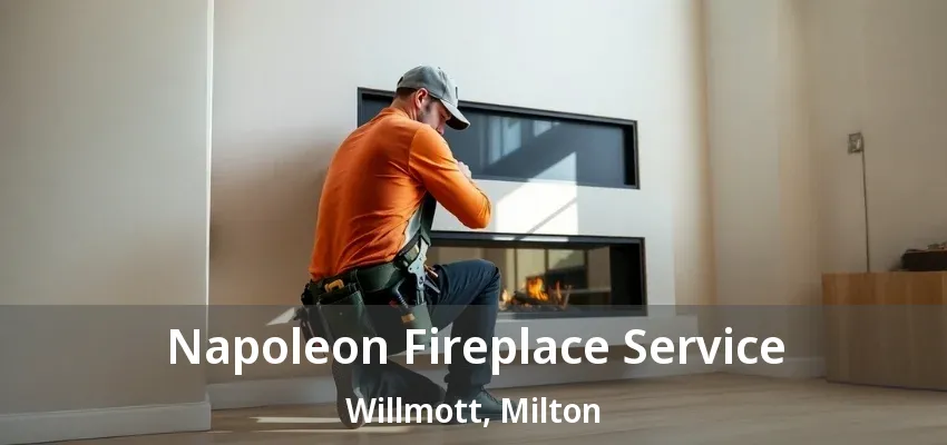 Napoleon Fireplace Service Willmott, Milton - ON