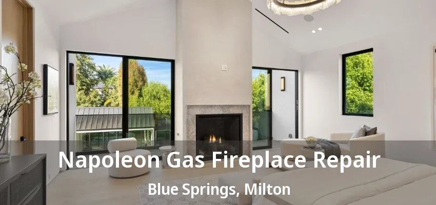 Napoleon Gas Fireplace Repair Blue Springs, Milton - ON Napoleon Gas Fireplace Repair Blue Springs, Milton - ON