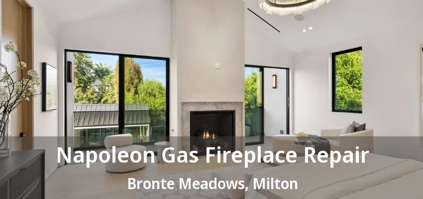 Napoleon Gas Fireplace Repair Bronte Meadows, Milton - ON Napoleon Gas Fireplace Repair Bronte Meadows, Milton - ON