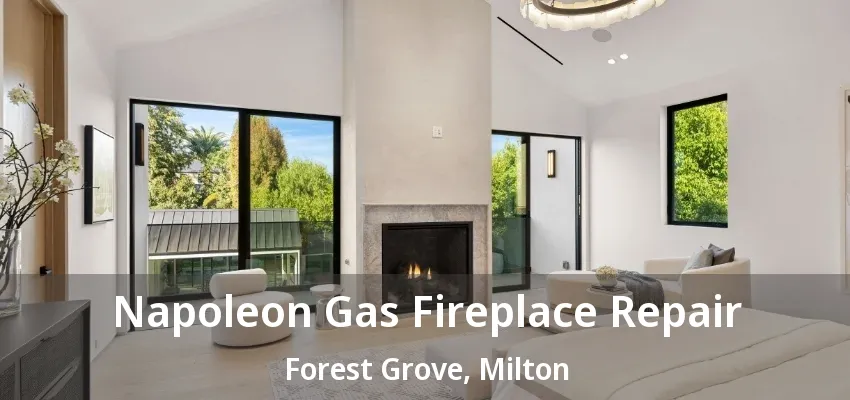 Napoleon Gas Fireplace Repair Forest Grove, Milton - ON