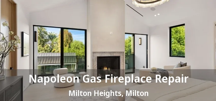 Napoleon Gas Fireplace Repair Milton Heights, Milton - ON Napoleon Gas Fireplace Repair Milton Heights, Milton - ON