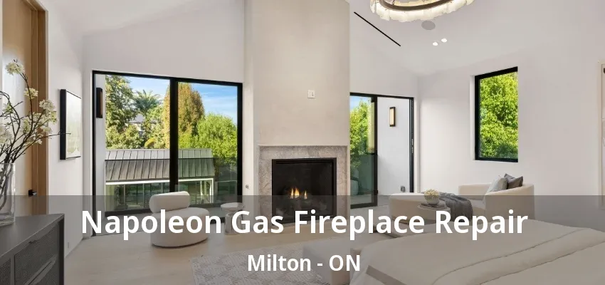 Napoleon Gas Fireplace Repair Milton - ON Napoleon Gas Fireplace Repair Milton - ON