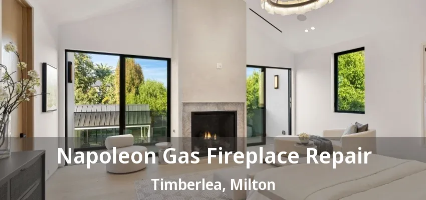Napoleon Gas Fireplace Repair Timberlea, Milton - ON Napoleon Gas Fireplace Repair Timberlea, Milton - ON