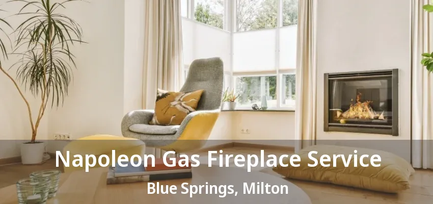 Napoleon Gas Fireplace Service Blue Springs, Milton - ON