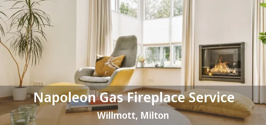 Napoleon Gas Fireplace Service Willmott, Milton - ON