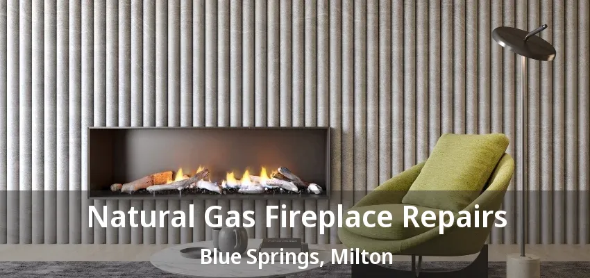 Natural Gas Fireplace Repairs Blue Springs, Milton - ON Natural Gas Fireplace Repairs Blue Springs, Milton - ON