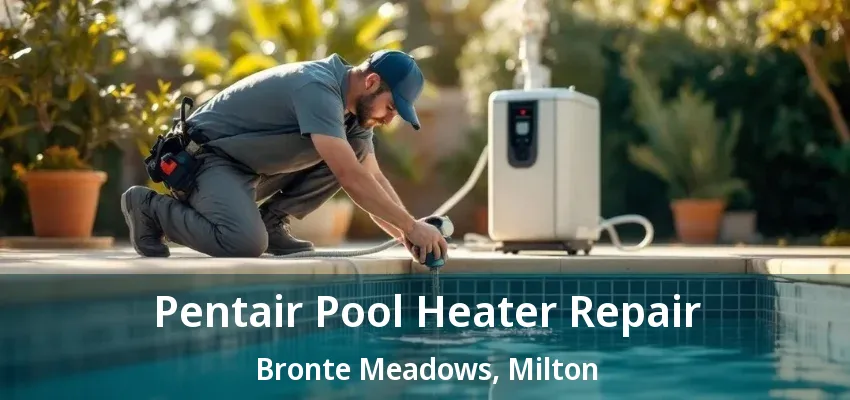 Pentair Pool Heater Repair Bronte Meadows, Milton - ON