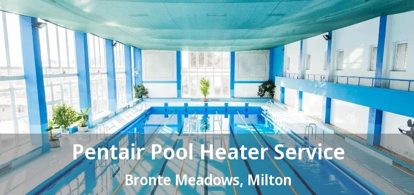 Pentair Pool Heater Service Bronte Meadows, Milton - ON
