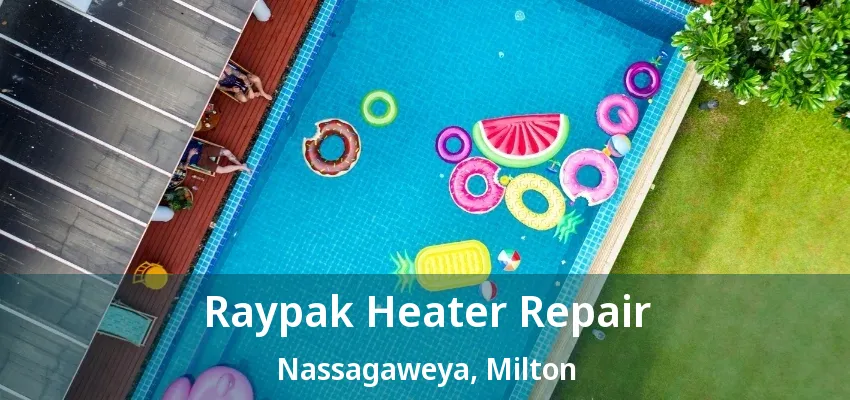 Raypak Heater Repair Nassagaweya, Milton - ON