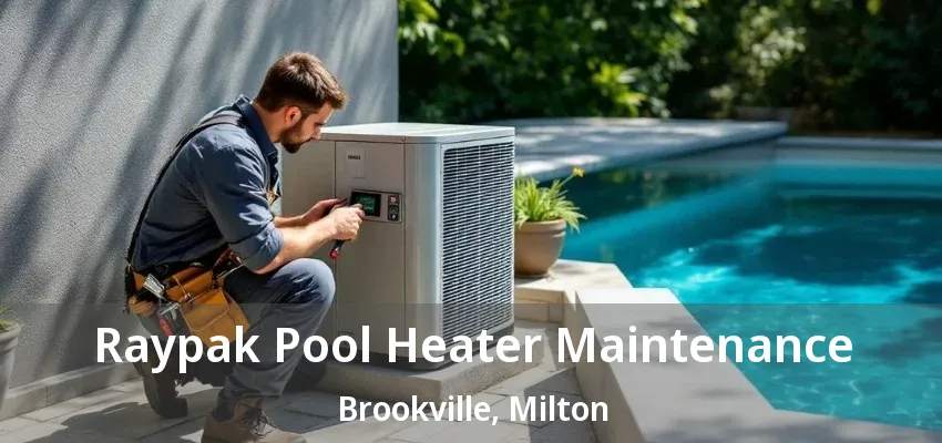 Raypak Pool Heater Maintenance Brookville, Milton - ON