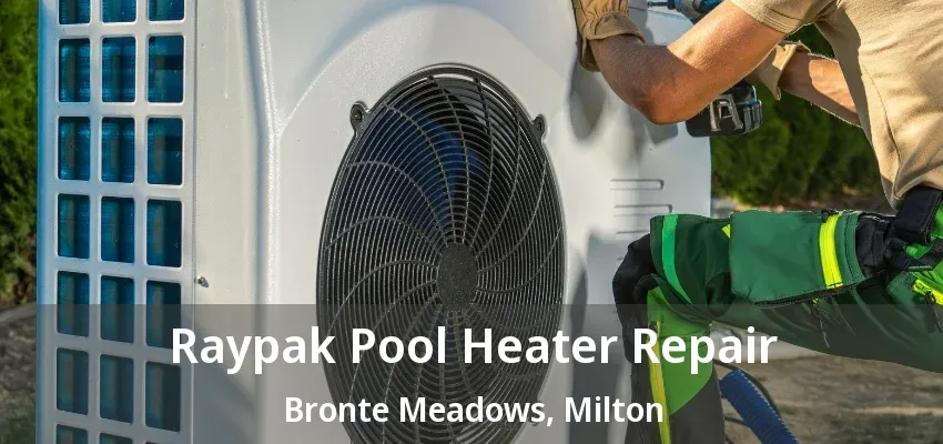 Raypak Pool Heater Repair Bronte Meadows, Milton - ON Raypak Pool Heater Repair Bronte Meadows, Milton - ON