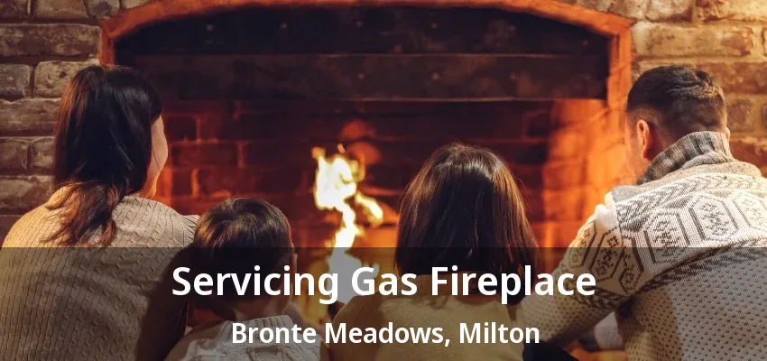 Servicing Gas Fireplace Bronte Meadows, Milton - ON
