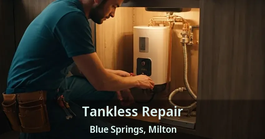 Tankless Repair Blue Springs, Milton - ON Tankless Repair Blue Springs, Milton - ON