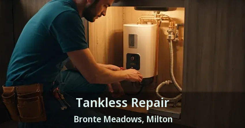 Tankless Repair Bronte Meadows, Milton - ON