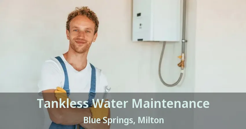 Tankless Water Maintenance Blue Springs, Milton - ON Tankless Water Maintenance Blue Springs, Milton - ON