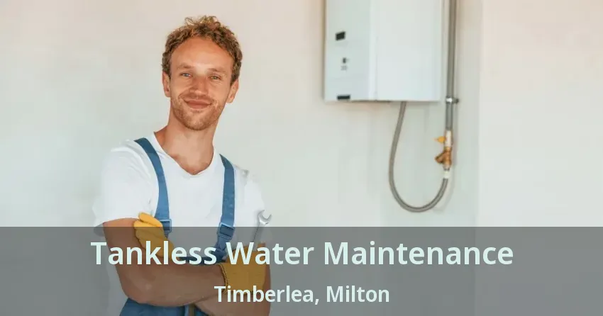 Tankless Water Maintenance Timberlea, Milton - ON