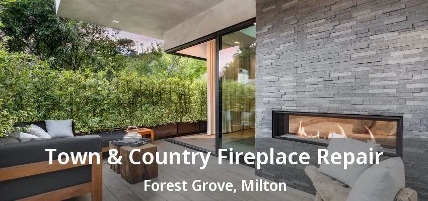 Town & Country Fireplace Repair Forest Grove, Milton - ON