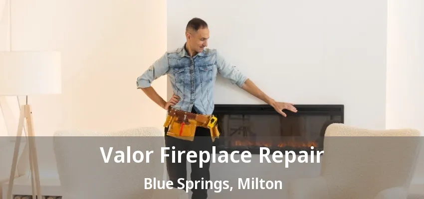 Valor Fireplace Repair Blue Springs, Milton - ON