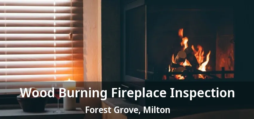 Wood Burning Fireplace Inspection Forest Grove, Milton - ON